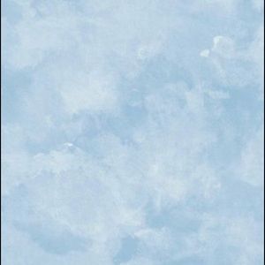 Meet your Posher, Abbie